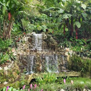 Pasadía a Palmira: Naturaleza y Movimiento